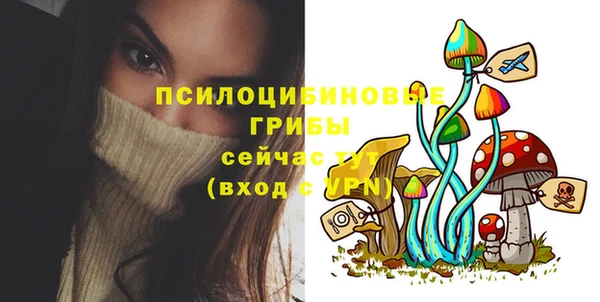 винт Арсеньев