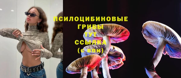 стафф Армянск