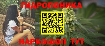 ешки Краснознаменск
