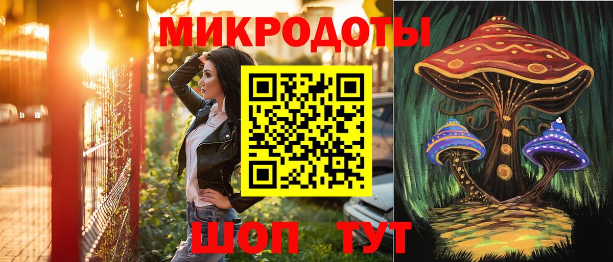 Псилоцибиновые грибы Psilocybine cubensis Куйбышев